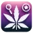 MJ_Logo medium Logo of Best Marijuana Labels, featuring a stylized purple cannabis leaf with a magnifying glass and a star symbol in white, set against a gradient purple background.